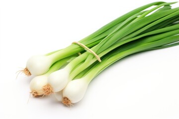 Green Onion/ Spring Onion